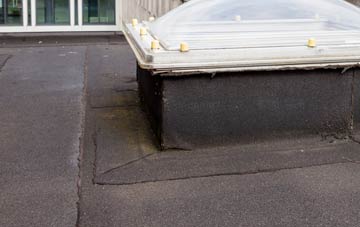 disadvantages of Idrigill flat roofs
